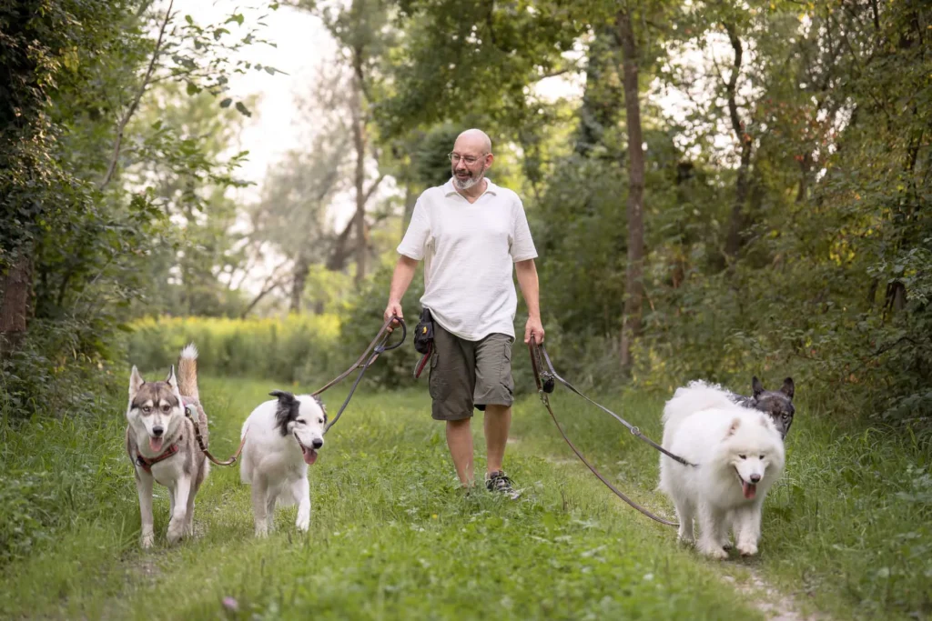 Individueller Gassiservice in Landshut – Spaziergang mit verschiedenen Hunderassen am Isarufer