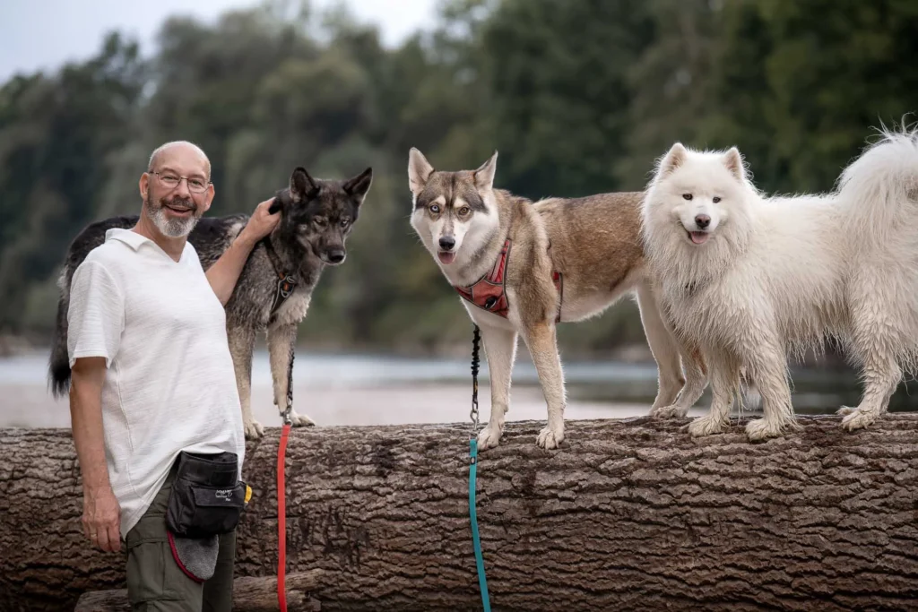 Mario, zertifizierter Hundetrainer aus Landhut, mit mehreren Hunden beim Gassigehen