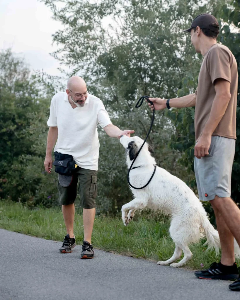 Übergabe eines weißen Hundes an Mario vom Gassiservice Landshut